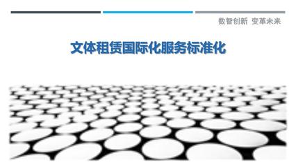 文体租赁国际化服务标准化-洞察研究